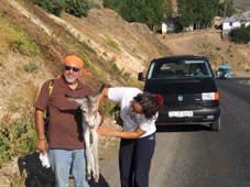 �smet ve T�lin e�ek sipas�n� severken