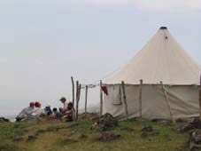 Korhan Yaylas�
